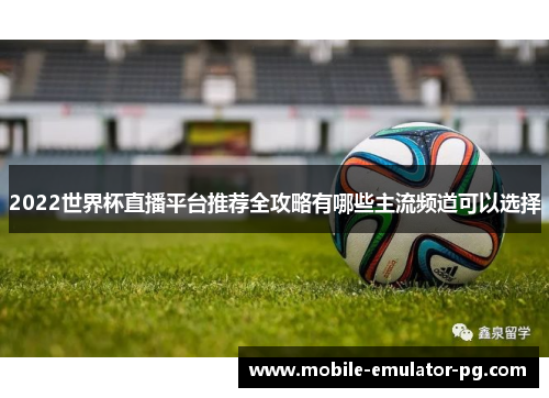 2022世界杯直播平台推荐全攻略有哪些主流频道可以选择
