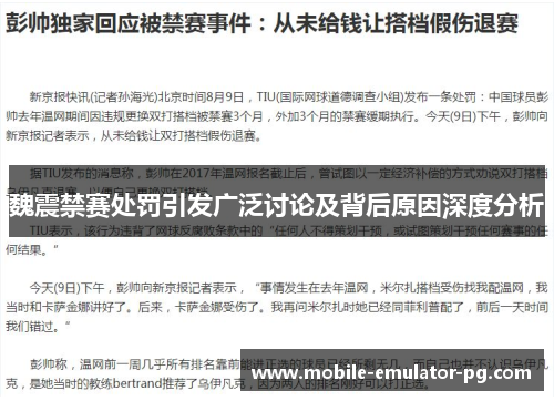 魏震禁赛处罚引发广泛讨论及背后原因深度分析